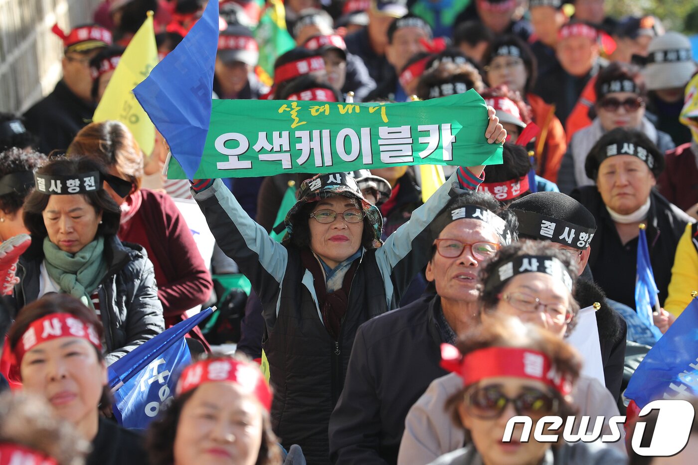 본문 이미지 - 설악산 오색케이블카 사업의 재개 여부가 결정되는 25일 오후 서울 종로구 국립고궁박물관 앞에서 설악산 오색케이블카 설치를 찬성하는 양양지역 주민들이 깃발을 흔들며 오색 케이블카 즉시 이행을 외치고 있다. 2017.10.25/뉴스1 ⓒ News1 임세영 기자