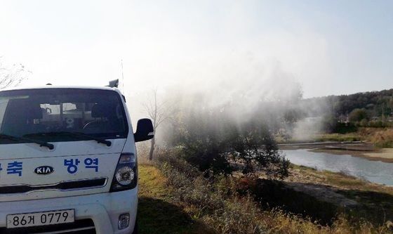 음성 산란계 농장서 AI 항원 검출…고병원성 조사