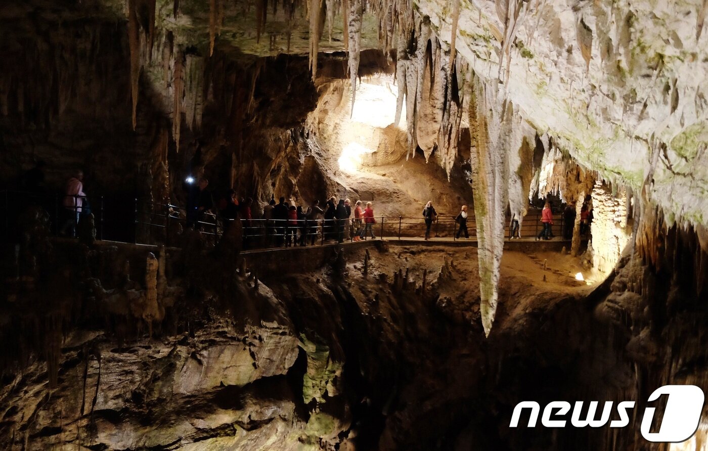 본문 이미지 - 길이가 20km의 카르스트 지형 동굴인 포스토이나 동굴.ⓒ News1 윤슬빈 기자