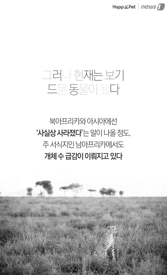 본문 이미지 -  