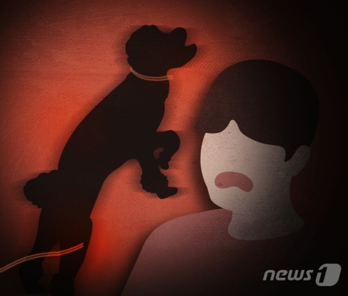 입마개·목줄 없이 행인 물게 방치한 60대 견주 '벌금형' - 뉴스1