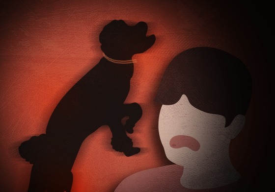 목줄 없는 반려견 달려들어 자전거 타던 50대 사망…견주 실형