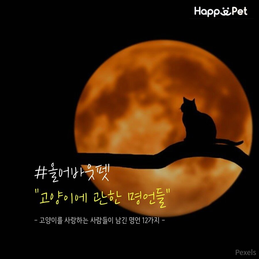 본문 이미지 - ⓒ News1