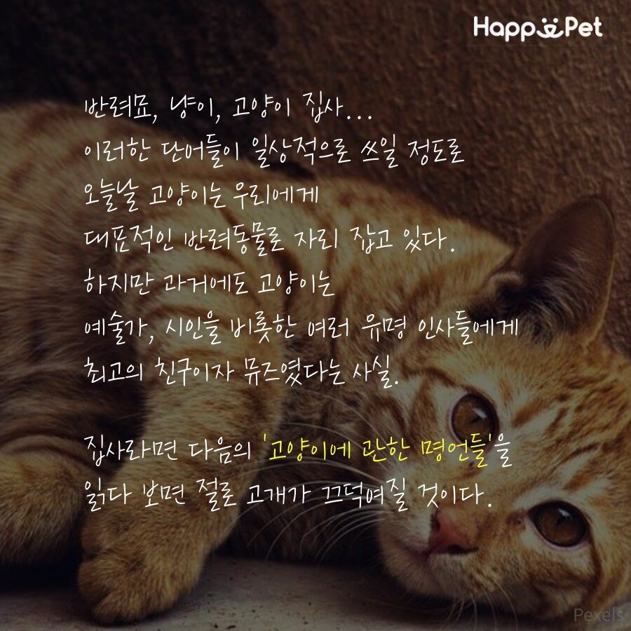 본문 이미지 - ⓒ News1