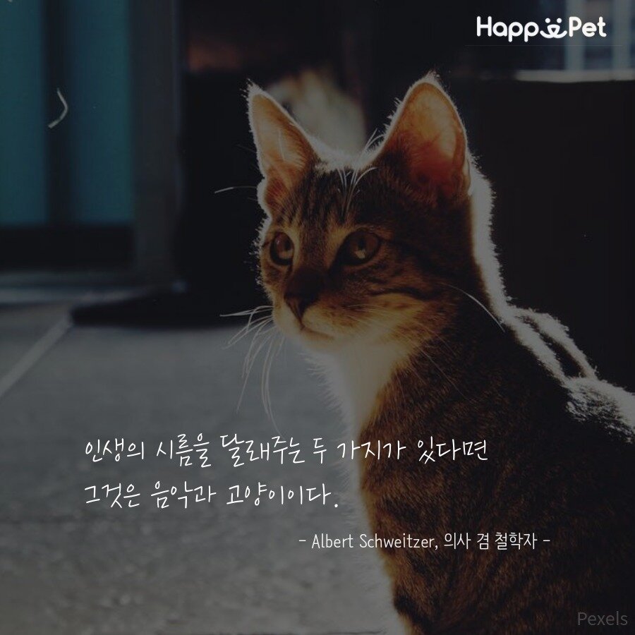 본문 이미지 - ⓒ News1