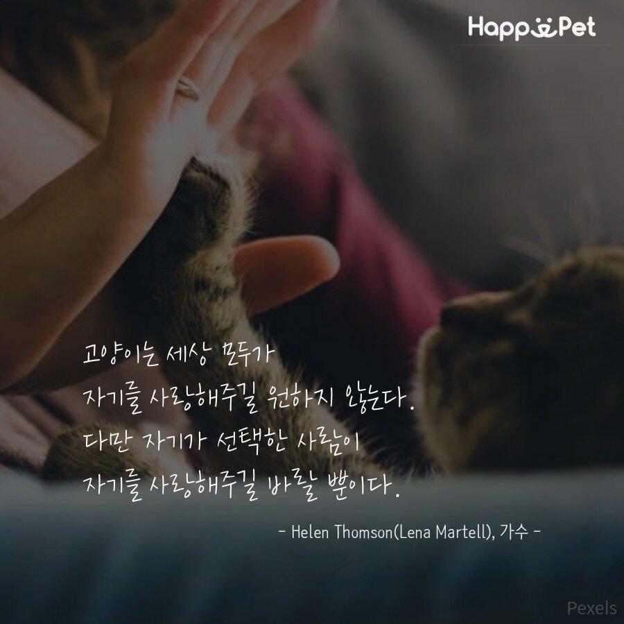 본문 이미지 - ⓒ News1