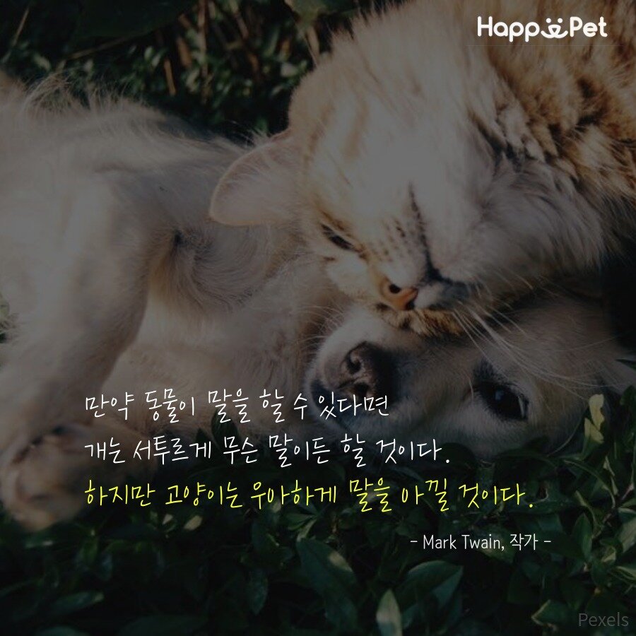 본문 이미지 - ⓒ News1