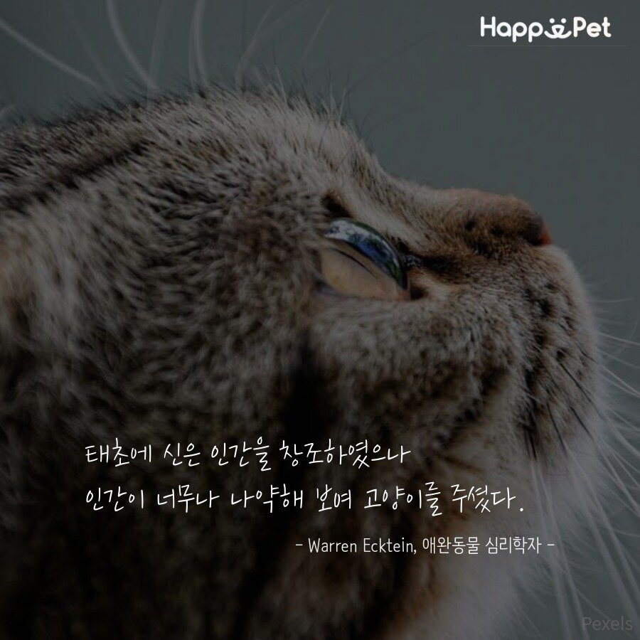 본문 이미지 - ⓒ News1