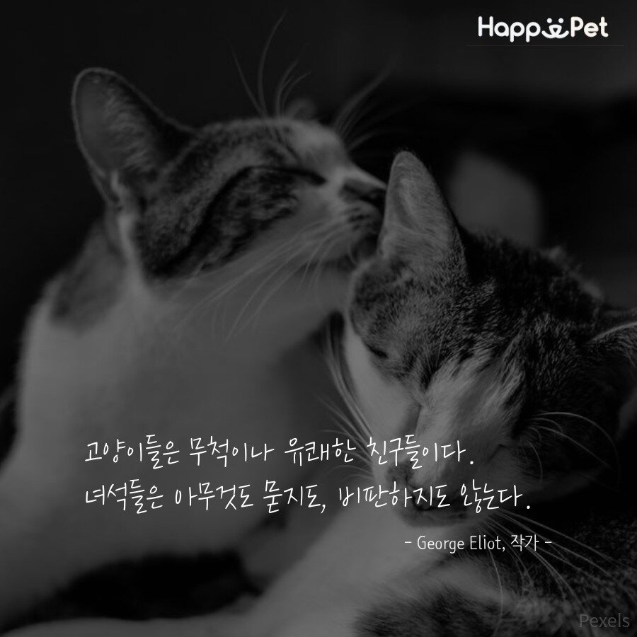 본문 이미지 - ⓒ News1