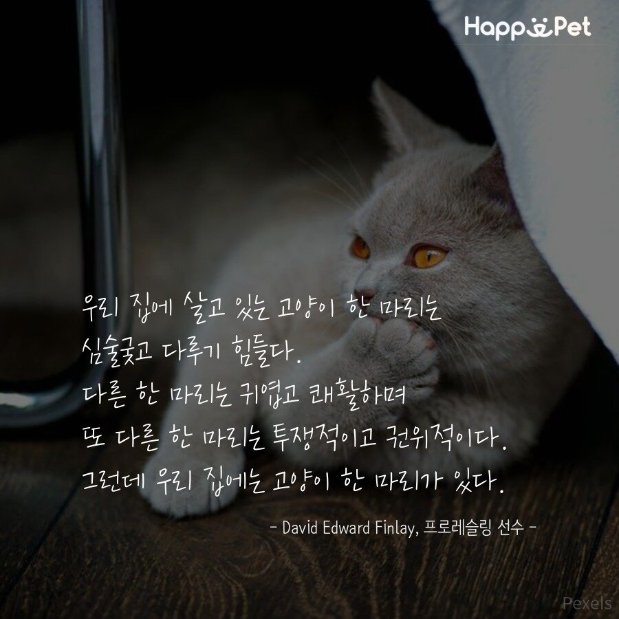 본문 이미지 - ⓒ News1