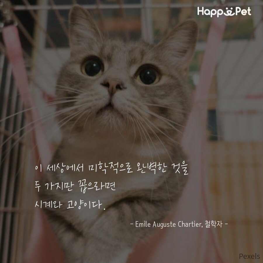 본문 이미지 - ⓒ News1