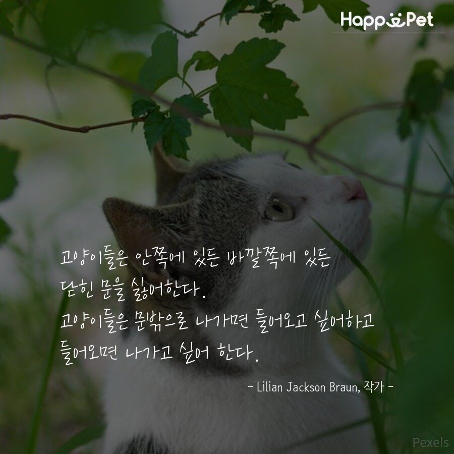 본문 이미지 - ⓒ News1