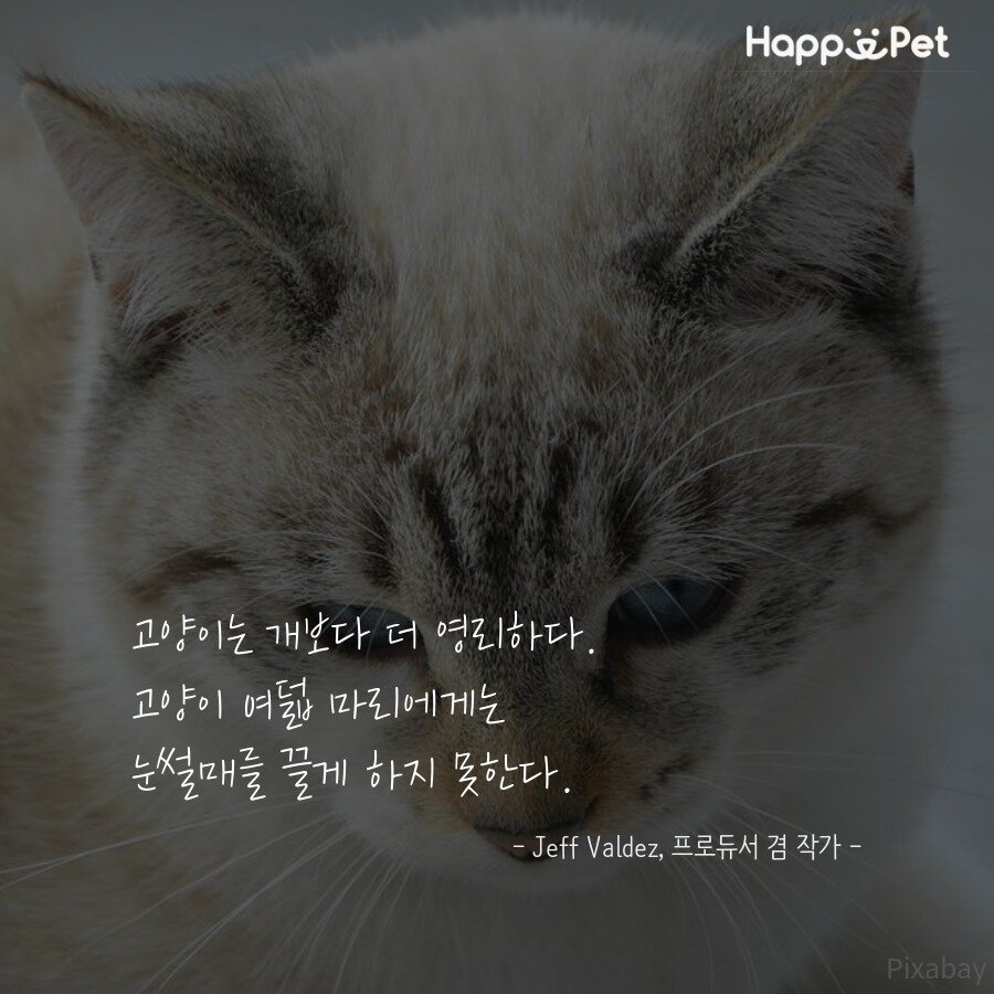 본문 이미지 - ⓒ News1