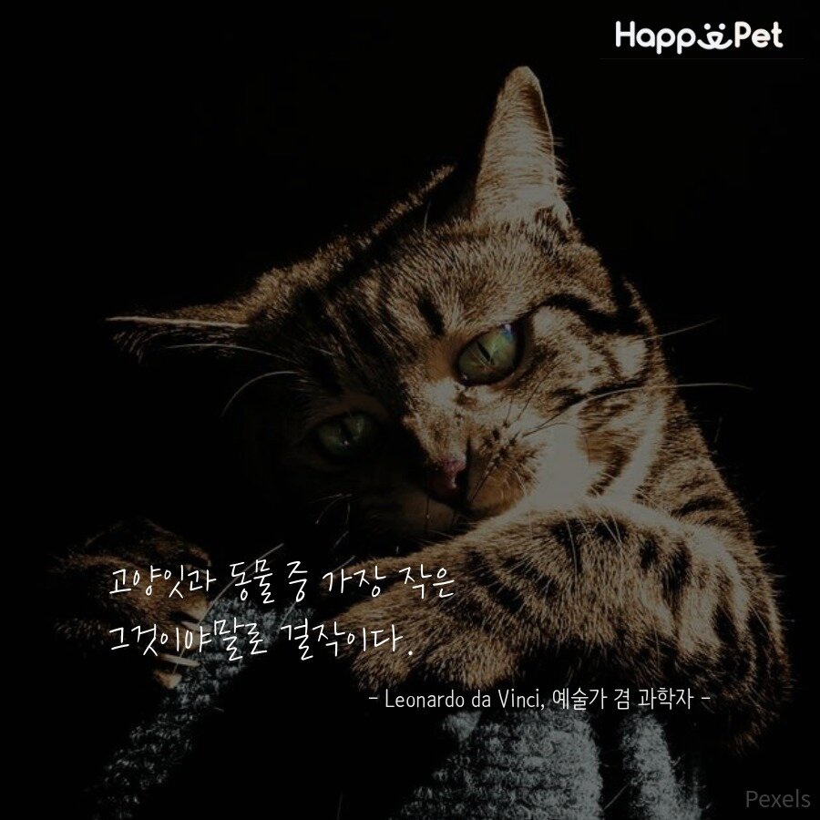 본문 이미지 - ⓒ News1