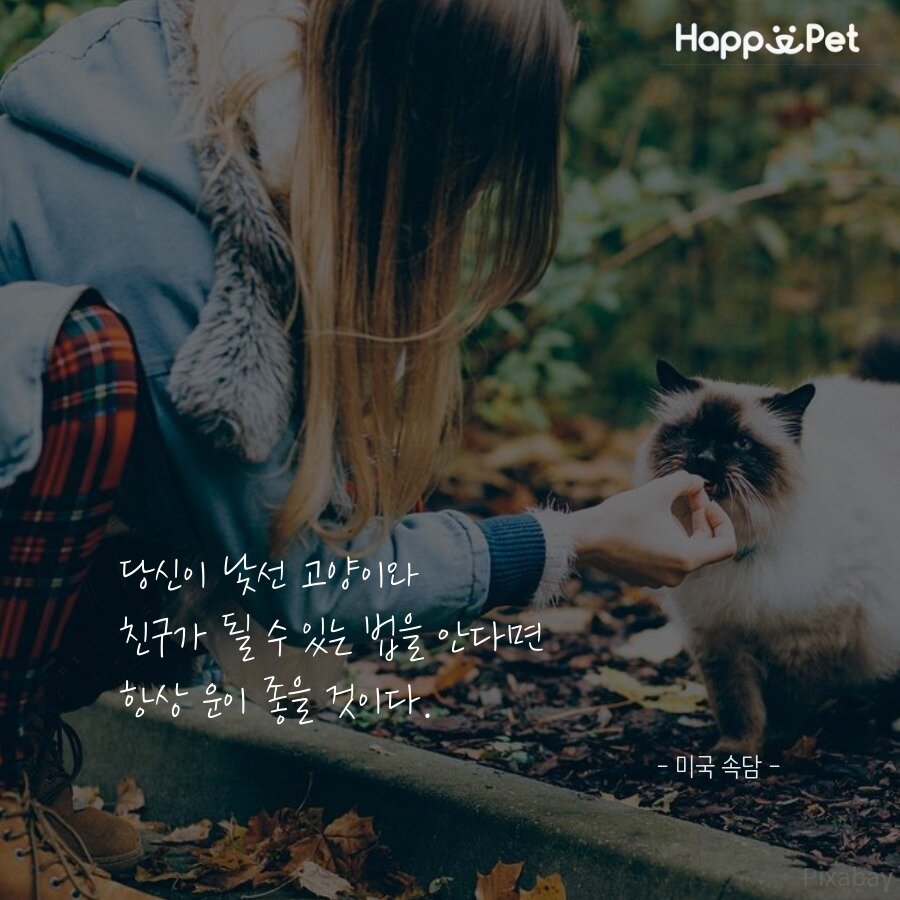 본문 이미지 - ⓒ News1