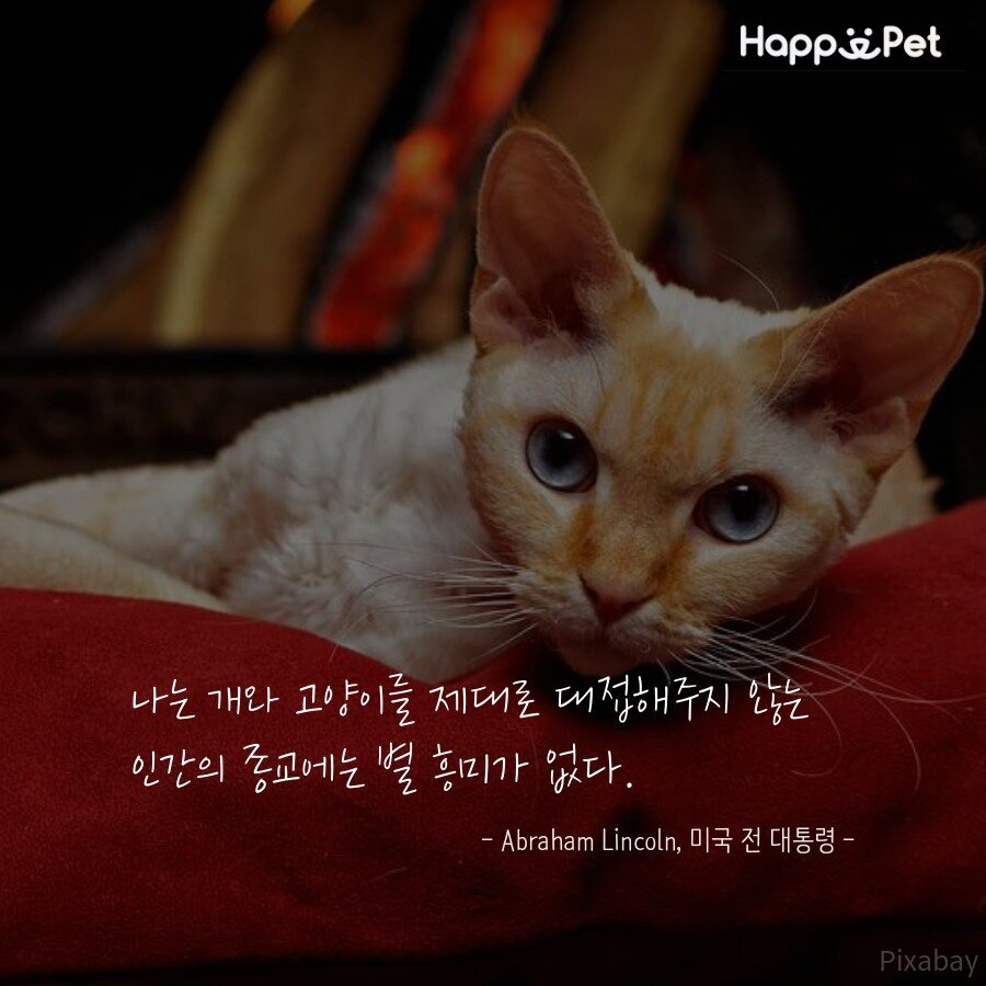 본문 이미지 - 제작tool=tyleⓒ News1