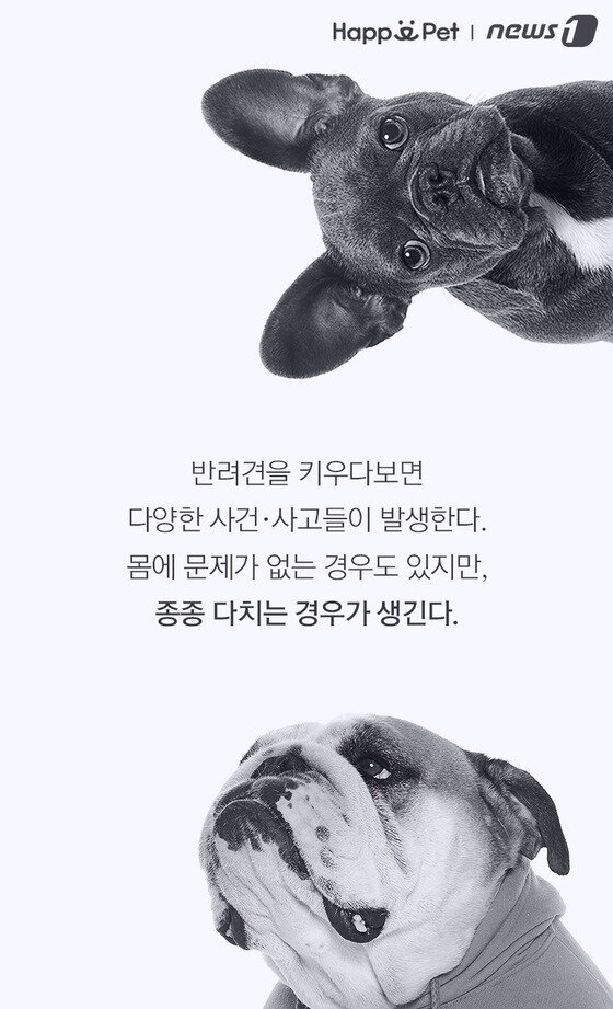 본문 이미지 -  