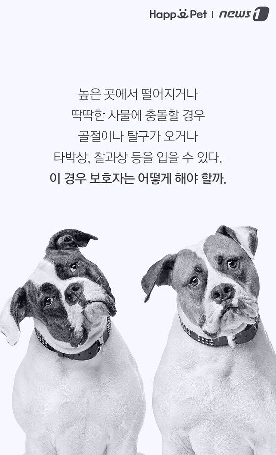 본문 이미지 -  