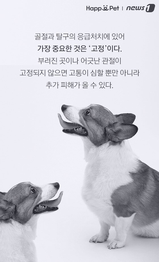 본문 이미지 -  