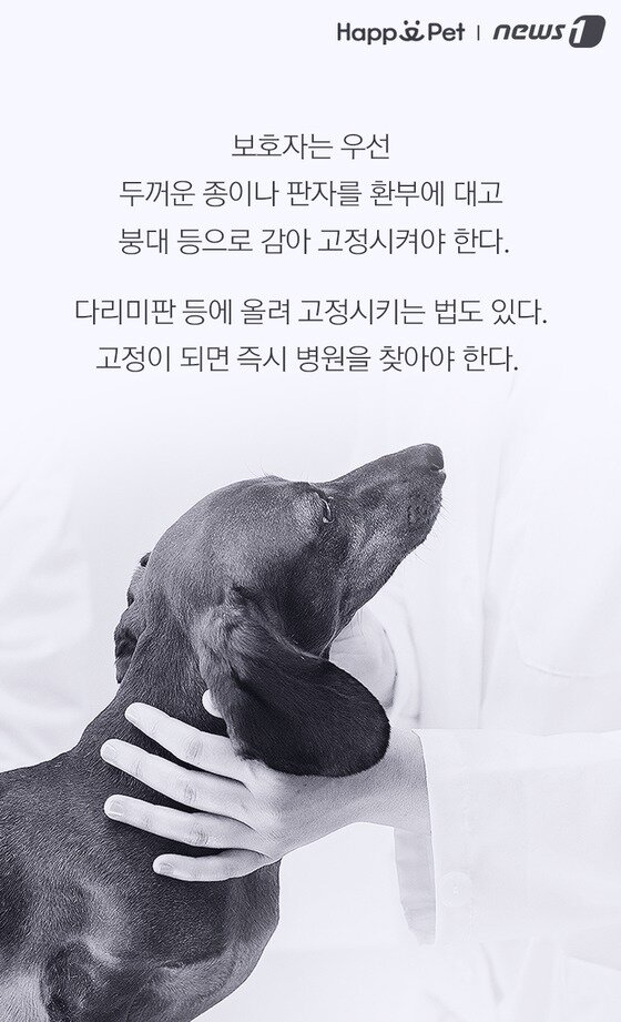 본문 이미지 -  