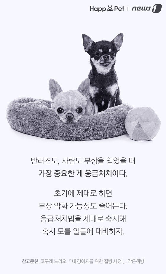 본문 이미지 -  