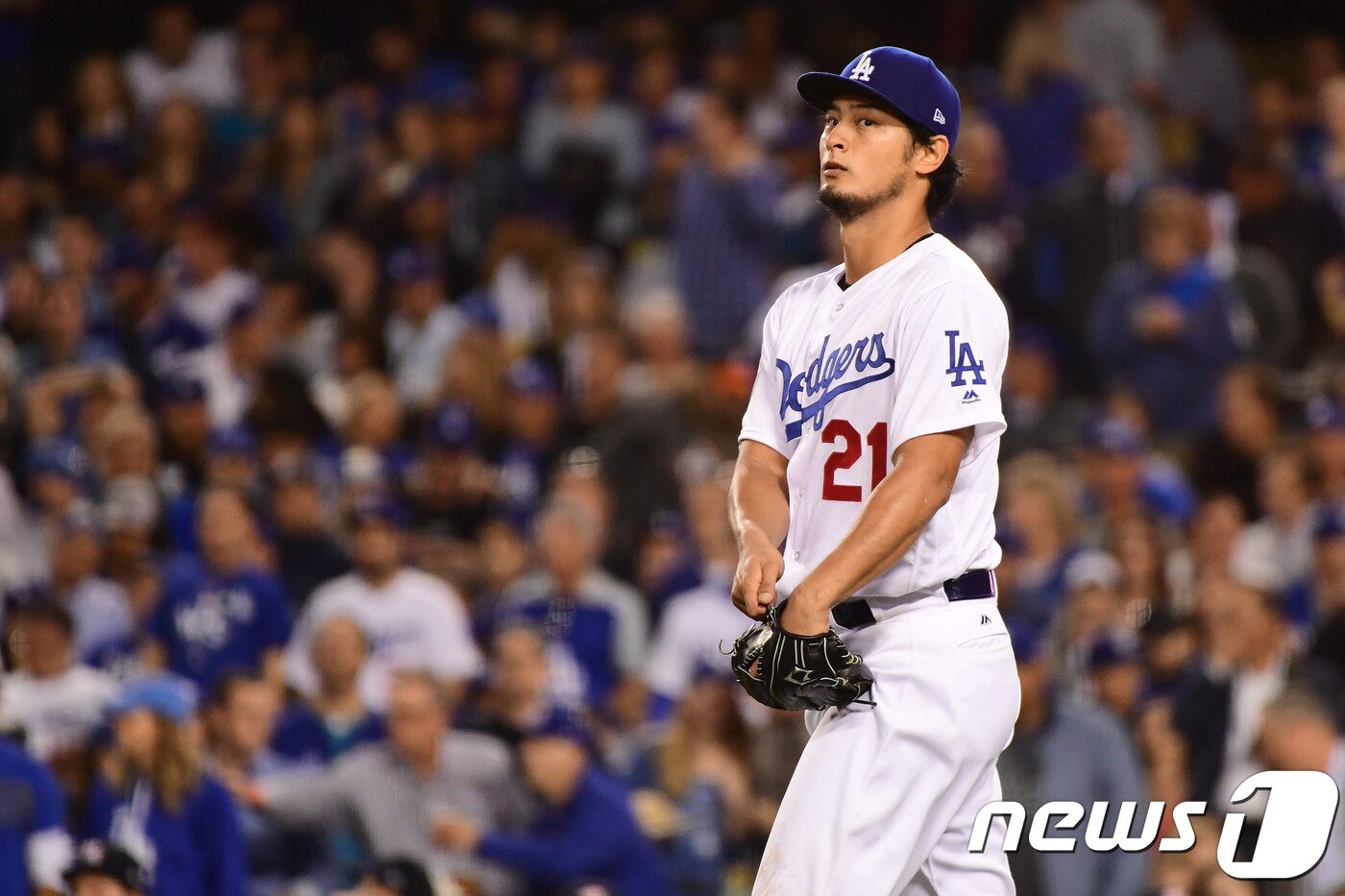 본문 이미지 - FA 최대어 중 한 명으로 꼽히는 다르빗슈 유. ⓒ AFP=News1
