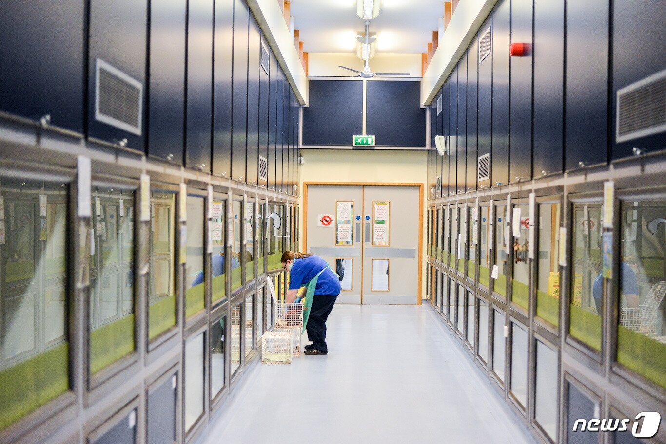 본문 이미지 - 고양이보호단체 '캣츠프로텍션' 보호소 내부 모습.(사진 곽예린 활동가 제공)ⓒ News1