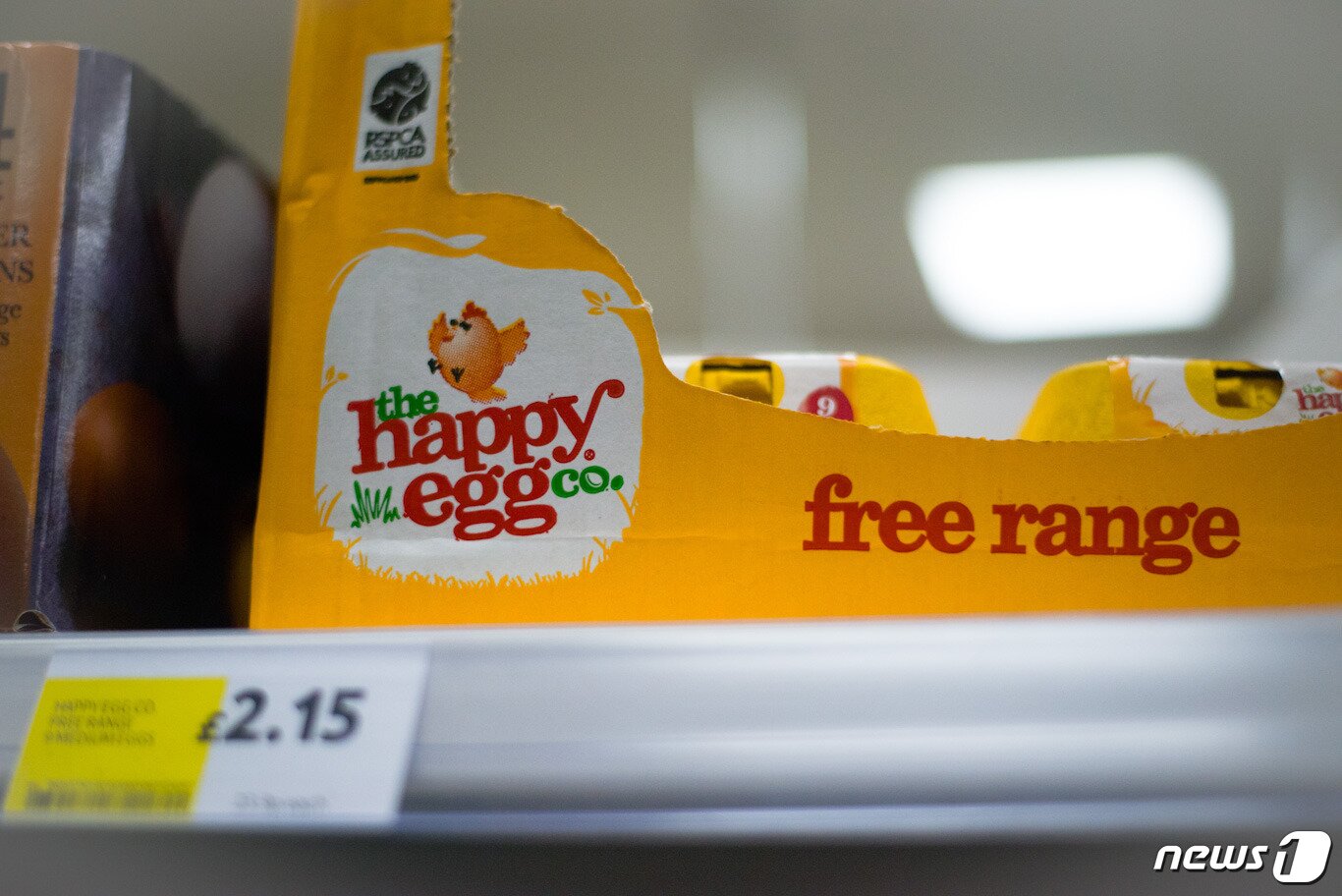 본문 이미지 - 동물복지계란인 '해피에그'.(사진 곽예린 활동가 제공)ⓒ News1