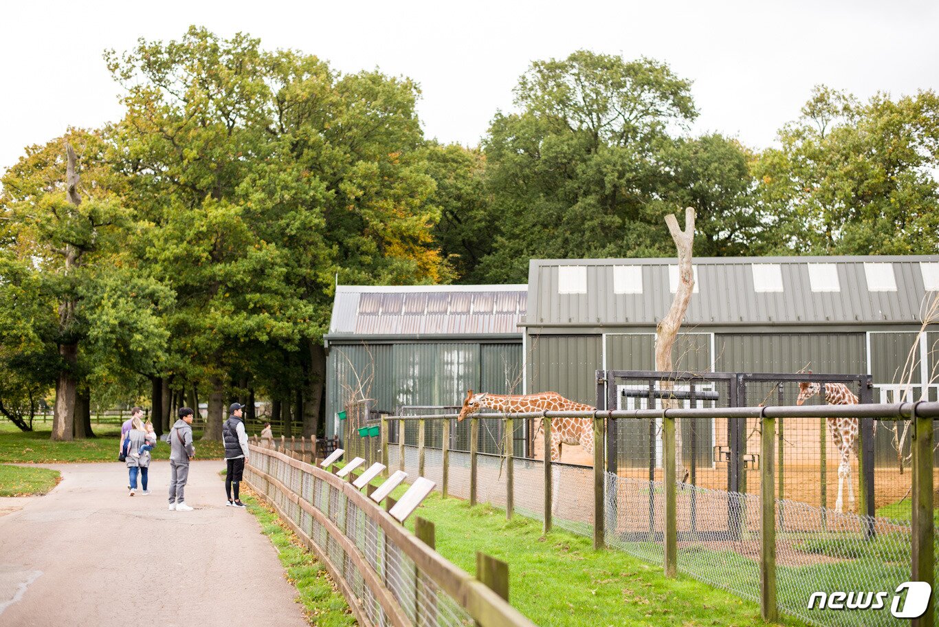 본문 이미지 - 휩스네이드동물원 모습.(사진 곽예린 활동가 제공)ⓒ News1