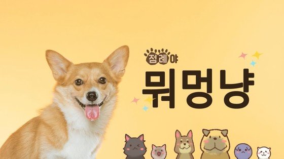 점례야 놀자!] 강아지 수제간식 '애호박 닭 안심 동그랑땡'