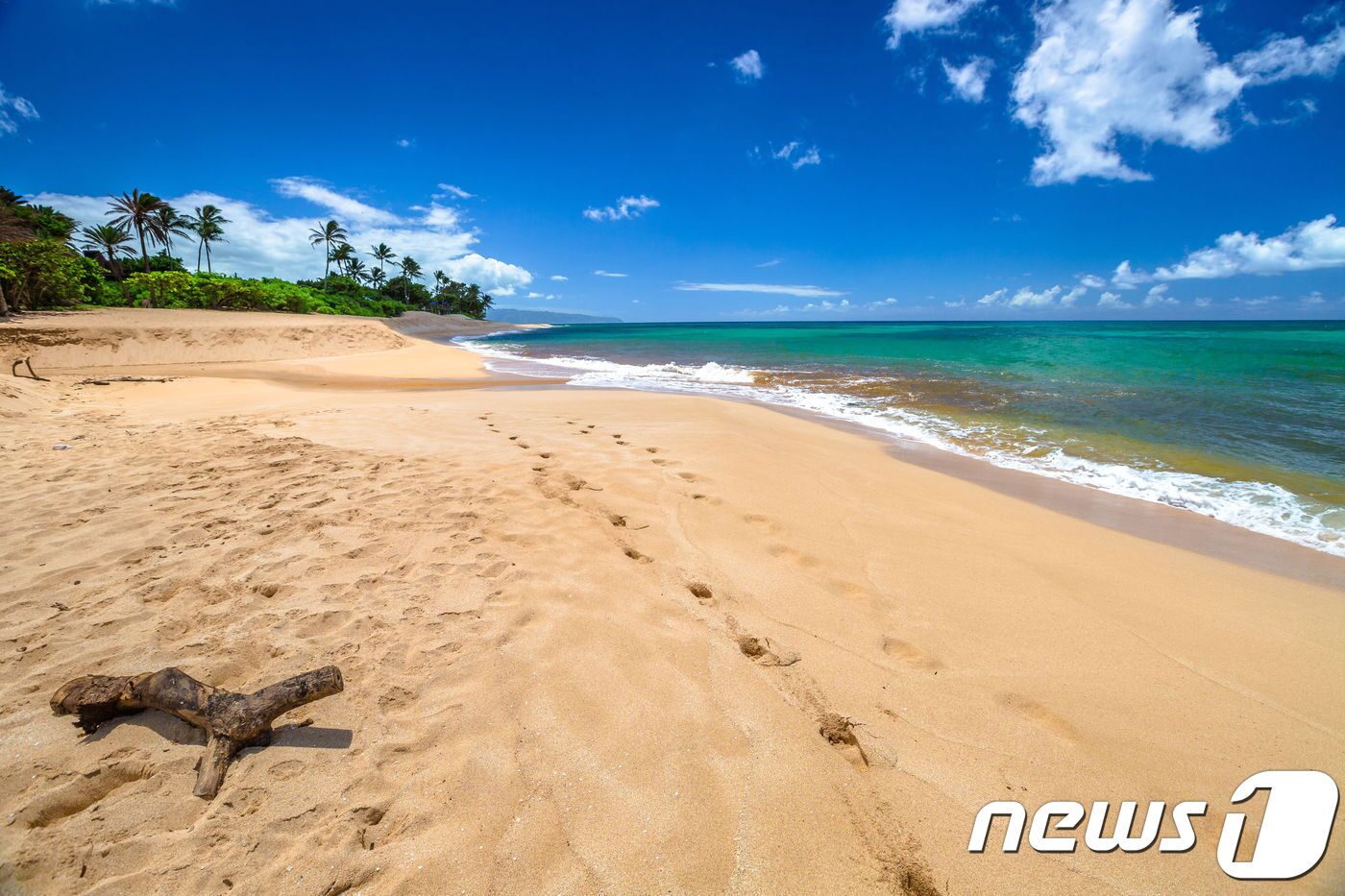 본문 이미지 - 노스쇼어. 참좋은여행 제공.ⓒ News1