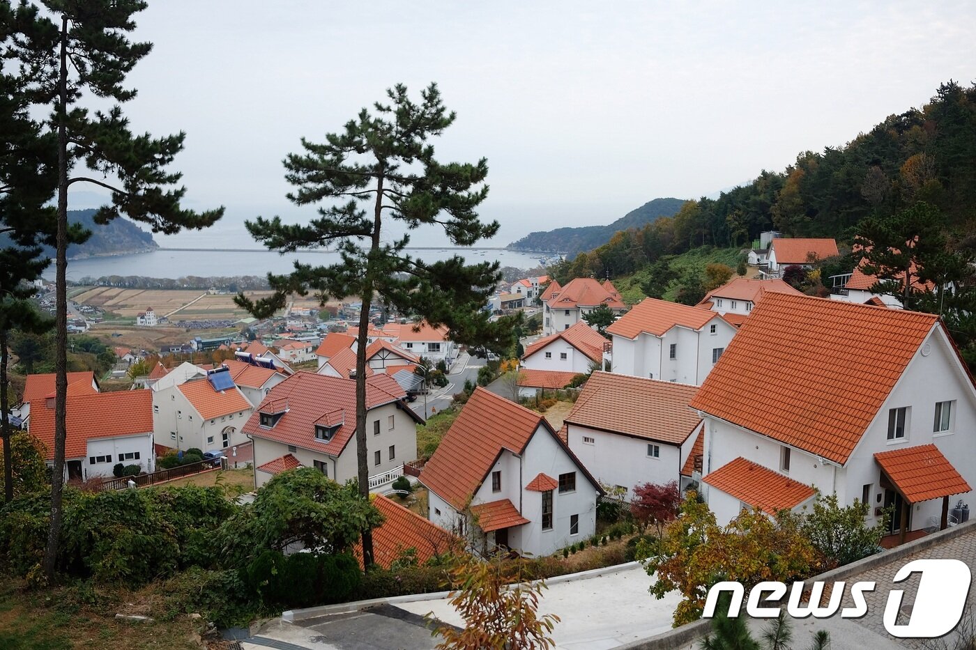 본문 이미지 - 남해 독일마을ⓒ News1 윤슬빈 기자