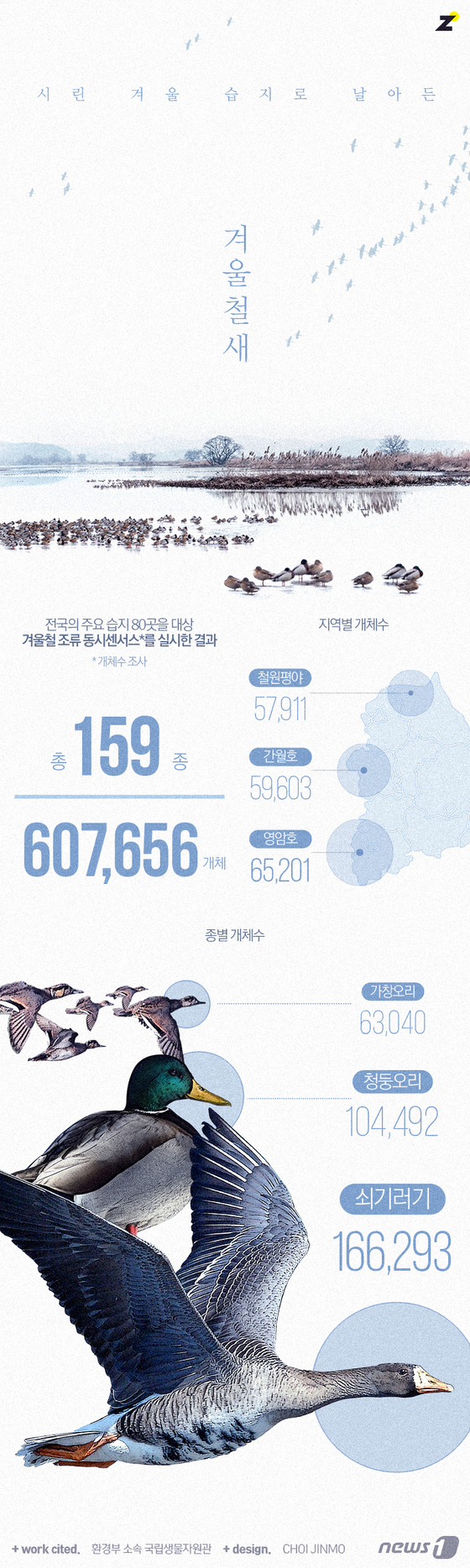 [그래픽뉴스]전국 습지 80곳, 겨울철새 60만 개체