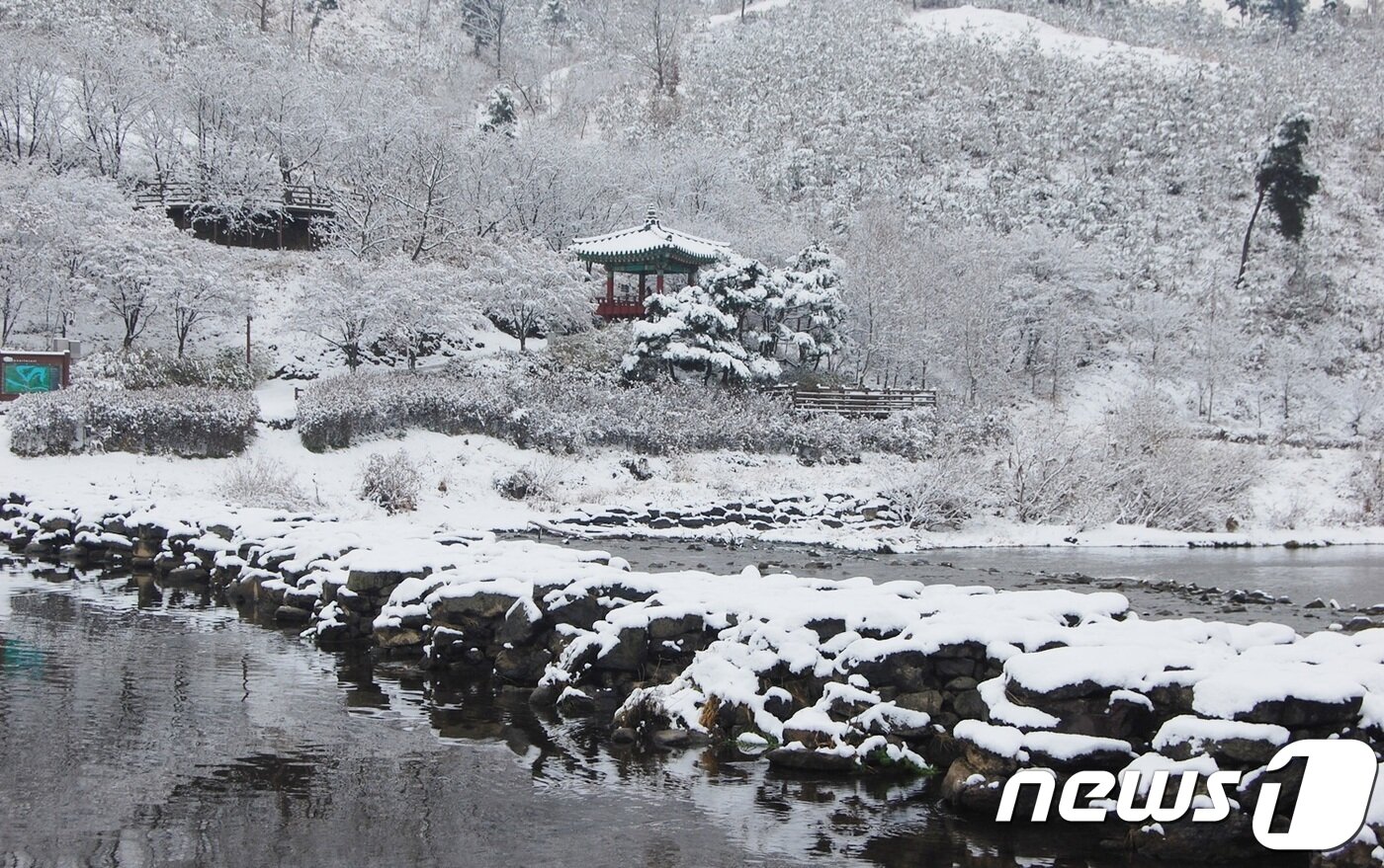 본문 이미지 - 진천 농다리 설경.(자료사진)/뉴스1