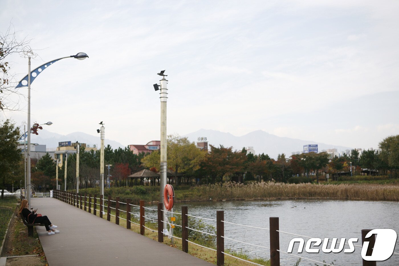 본문 이미지 - 청초호 ⓒ News1