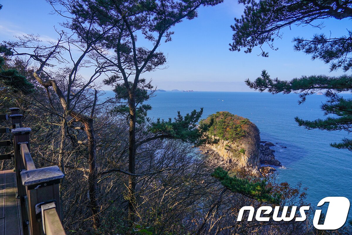 본문 이미지 -  삽시도 둘레길 ⓒ News1