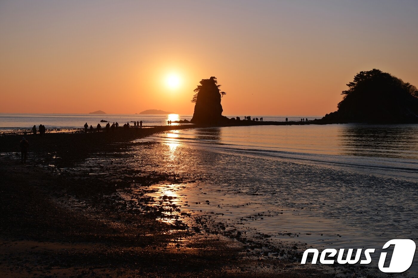 본문 이미지 - 샛별길ⓒ News1