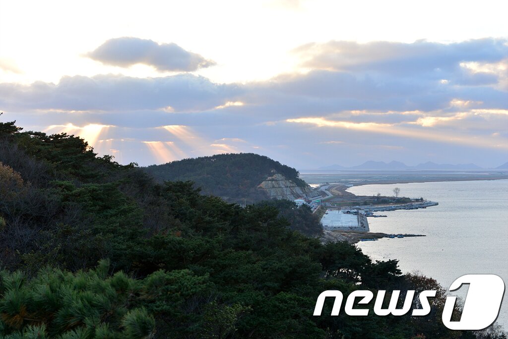 본문 이미지 - 새만금 바람길 ⓒ News1