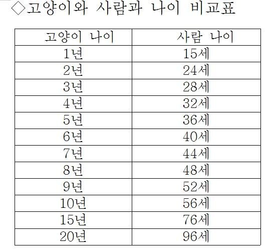 본문 이미지 - 고양이와 사람과 나이 비교표.ⓒ News1