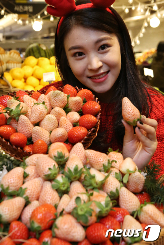 (서울=뉴스1) = 29일 오전 서울 현대백화점 무역센터점 식품관에서 모델이 만년설 딸기를 소개하고 있다.'만년선 딸기'는 일반 딸기와 달리 겉과 속이 모두 흰색인 것이 특징이며, …