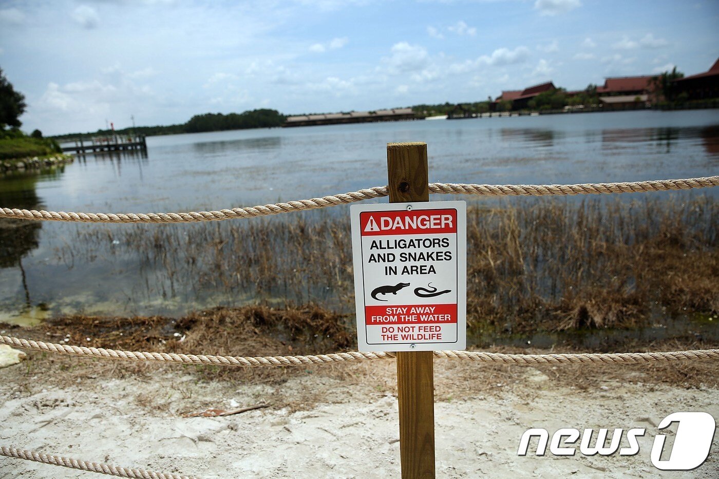 본문 이미지 - 그레이브스 사망 사건 이후 디즈니가 설치한 경고문. ⓒ AFP=뉴스1