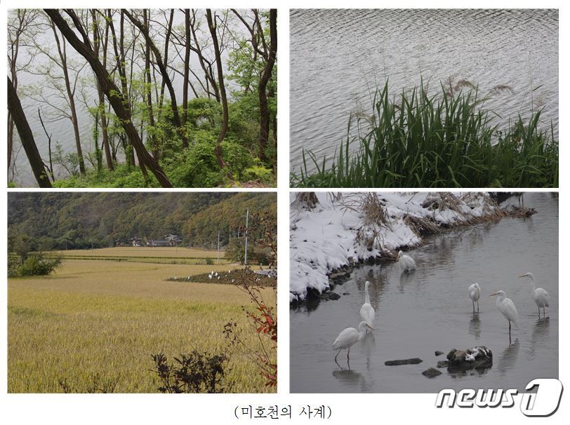 본문 이미지 - 충북학연구소가 충북의 재발견 사업 일환으로 &#39;미호천&#39; 책을 발간했다. 사진은 책에 담긴 미호천의 사계절.&#40;충북연구원 제공&#41;ⓒ News1