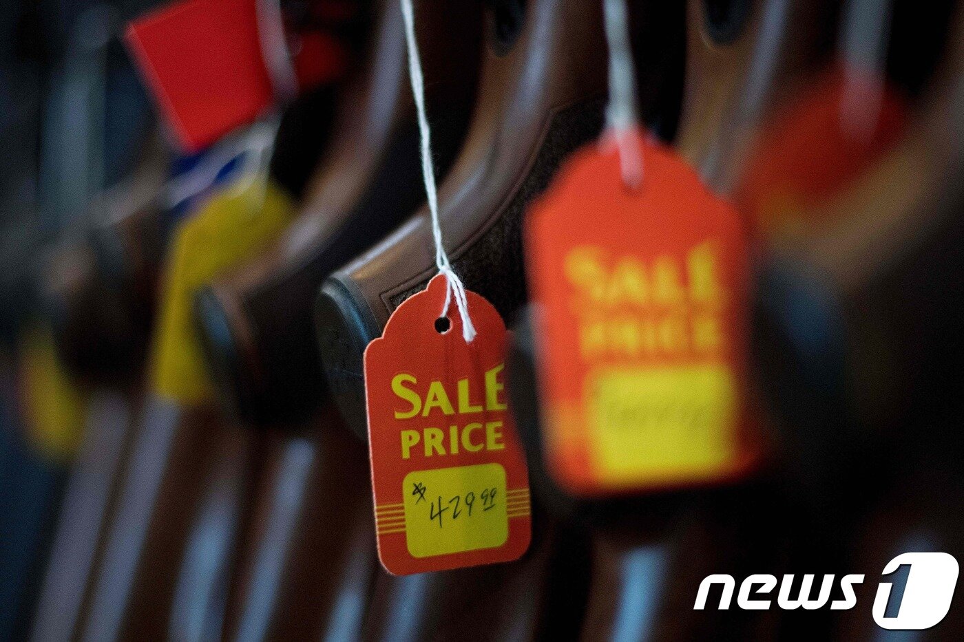 본문 이미지 - ⓒ AFP=뉴스1