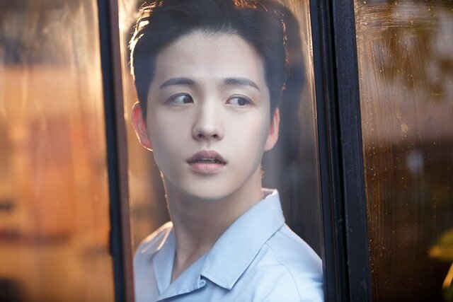 본문 이미지 - 나무엑터스 제공 ⓒ News1