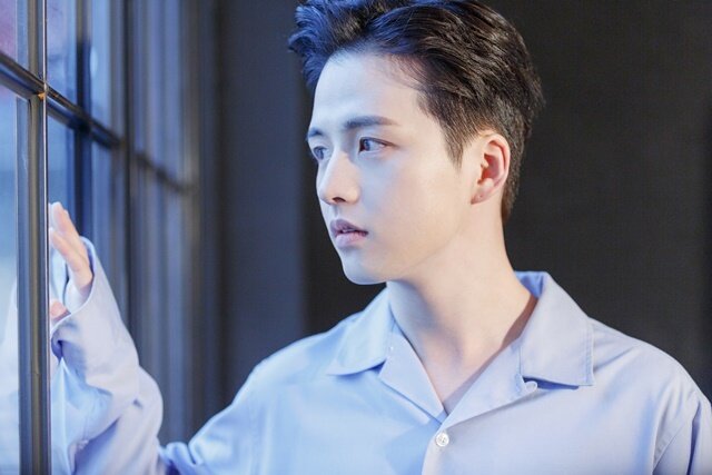 본문 이미지 - 나무엑터스 제공 ⓒ News1