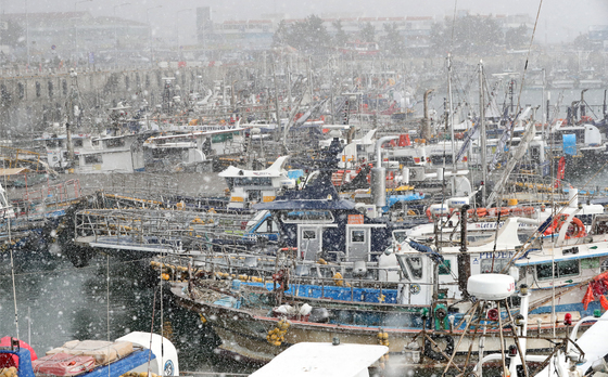 [오늘의 날씨] 대전·충남(2일, 월)…약한 눈
