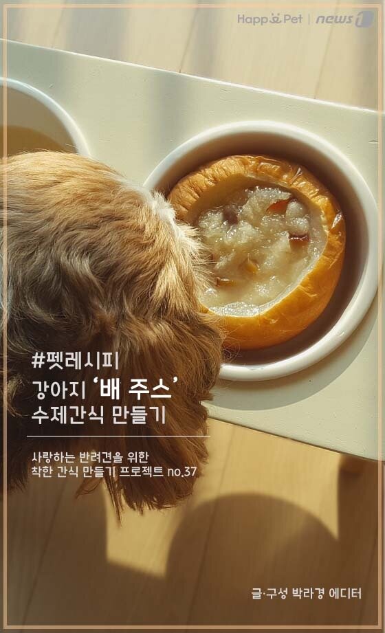 본문 이미지 - ⓒ News1