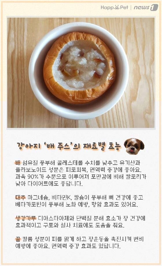본문 이미지 - ⓒ News1