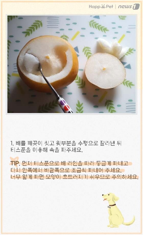 본문 이미지 - ⓒ News1