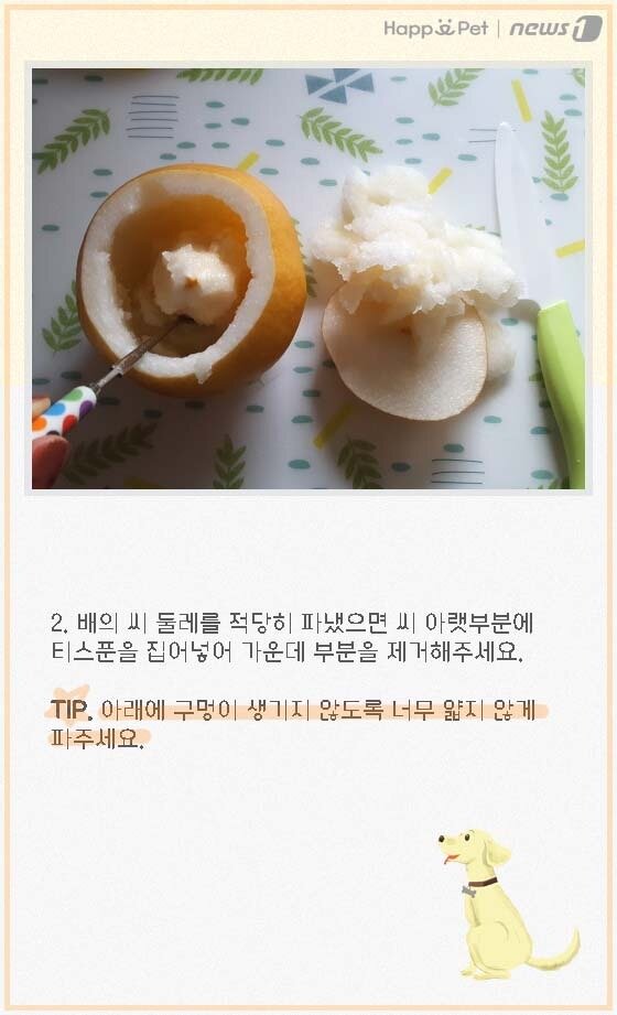 본문 이미지 - ⓒ News1